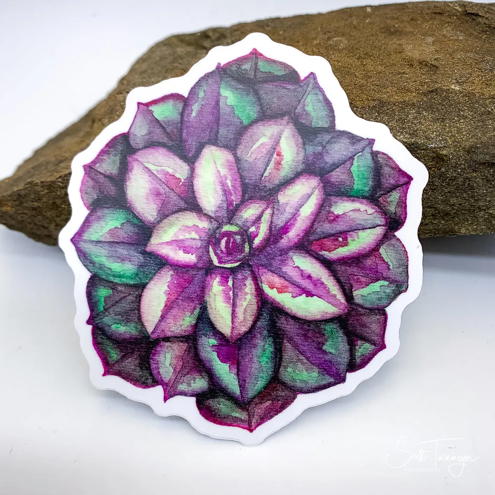 Purple Succulent Vinyl Sticker Decal