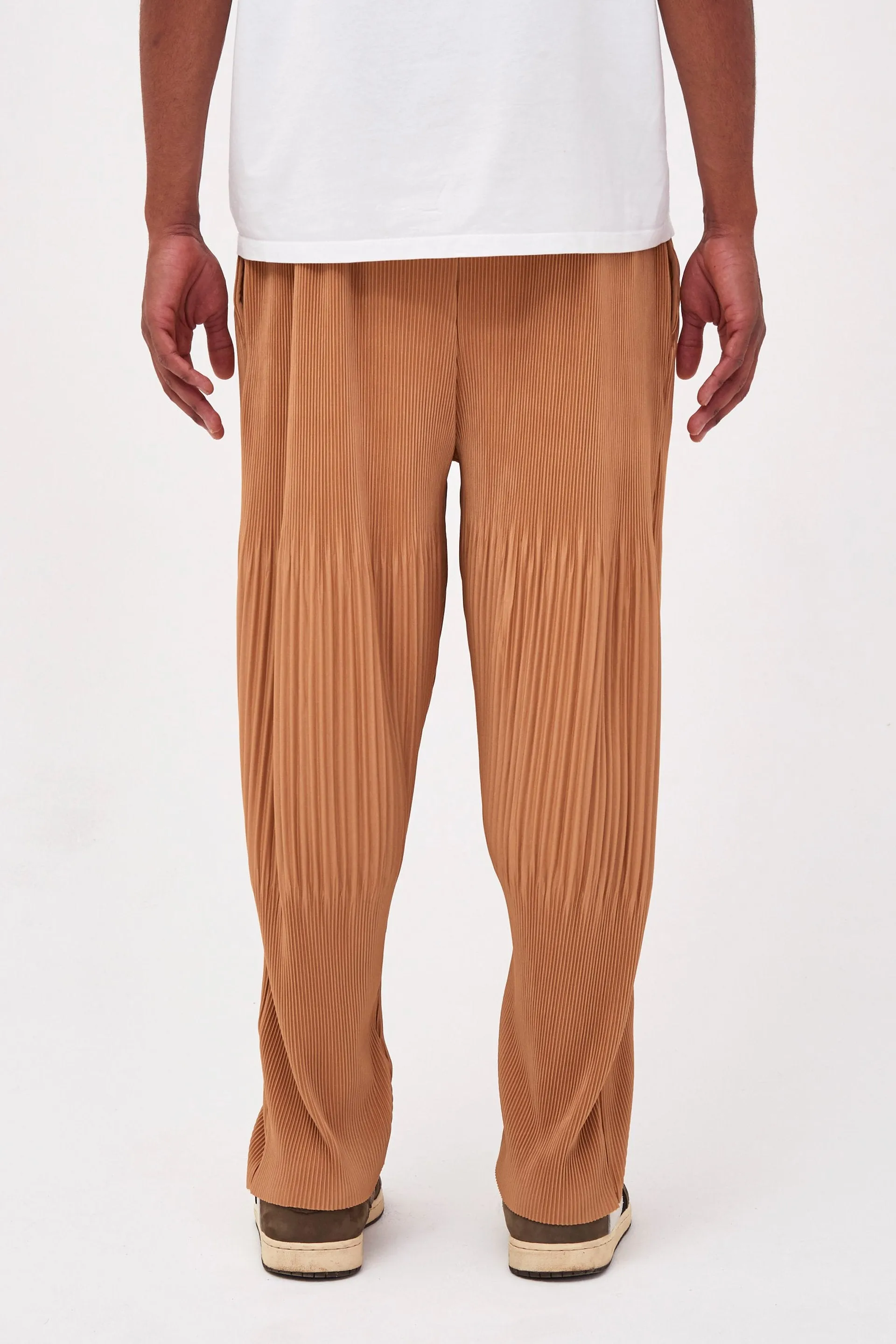 Tan Pleated Trousers In Relaxed Fit